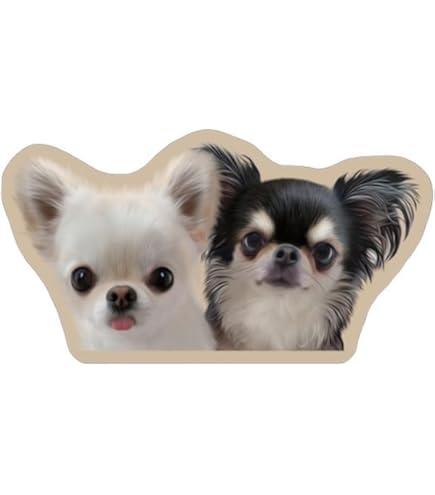 Amazon | 【予約販売】 チワワのUNI＆EBI 犬 2026年 卓上カレンダー